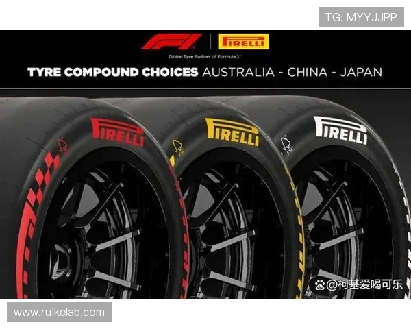 F1轮胎策略深度分析：如何用进站决定胜负